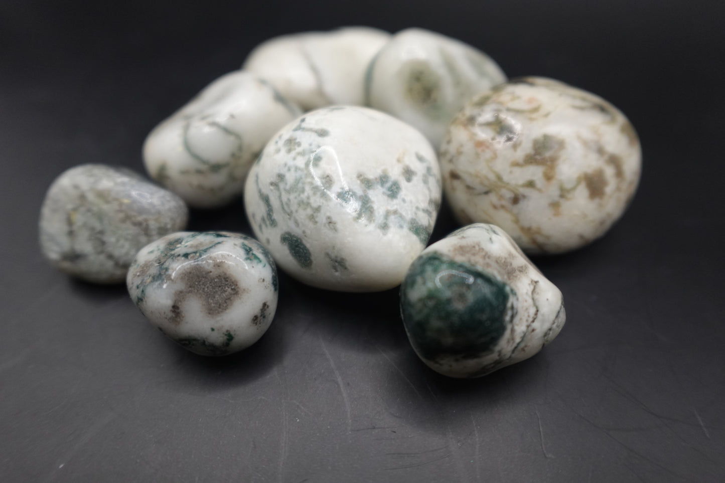 Tree Agate - Tumbled