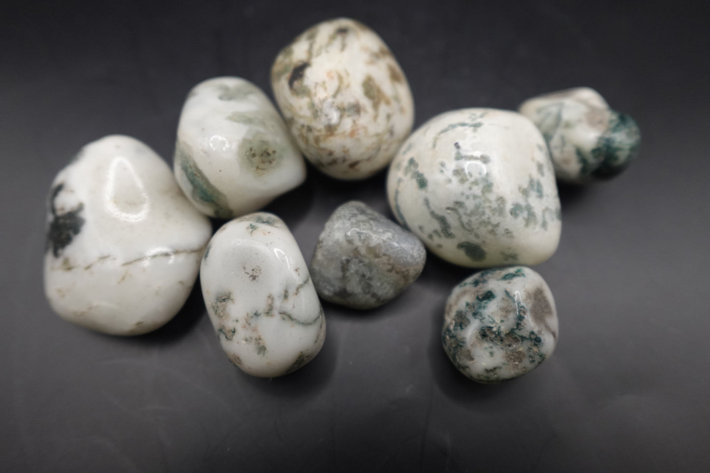 Tree Agate - Tumbled