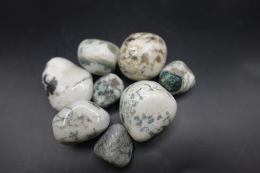 Tree Agate - Tumbled